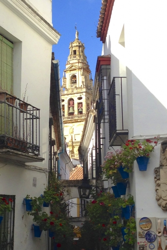 Typical Street in Córdoba